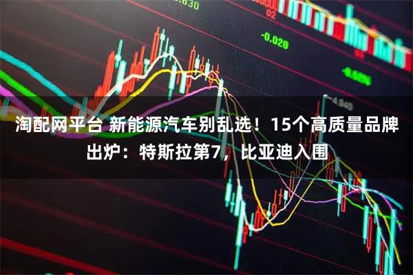淘配网平台 新能源汽车别乱选！15个高质量品牌出炉：特斯拉第7，比亚迪入围