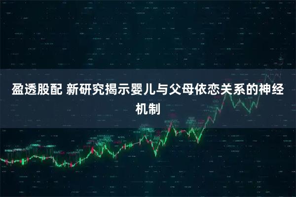 盈透股配 新研究揭示婴儿与父母依恋关系的神经机制